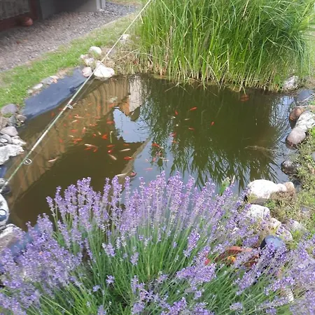 Hilgert